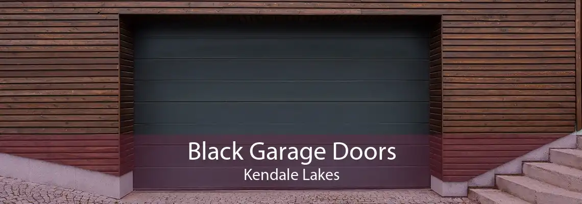 Black Garage Doors Kendale Lakes